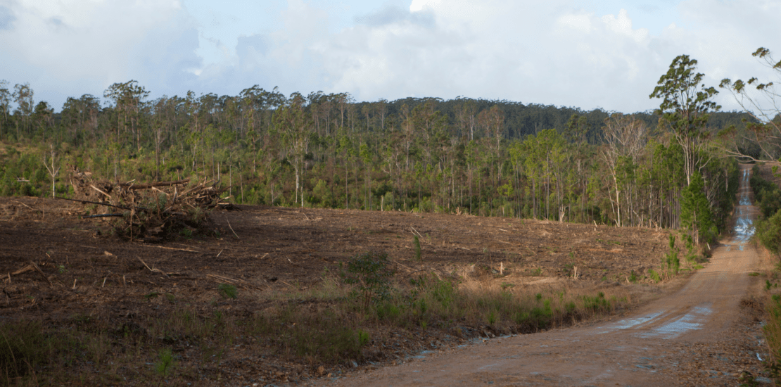 Land Clearing