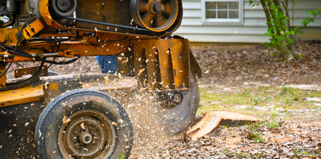 Stump Removal