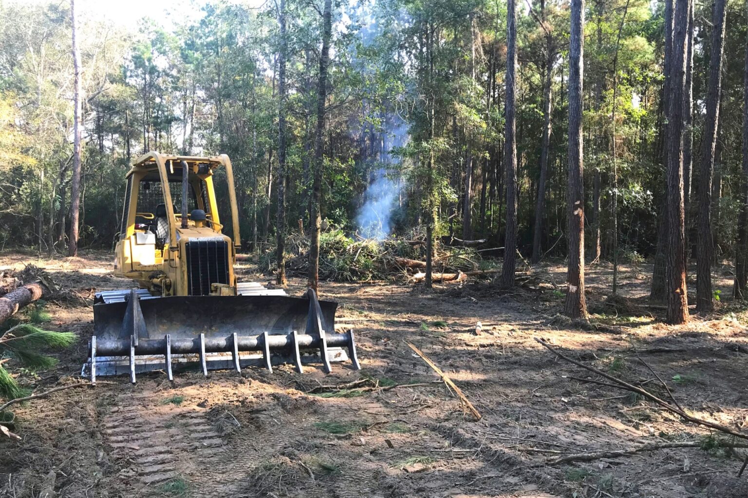 Professional Land Clearing Services ETEX Land Services Kaufman, TX